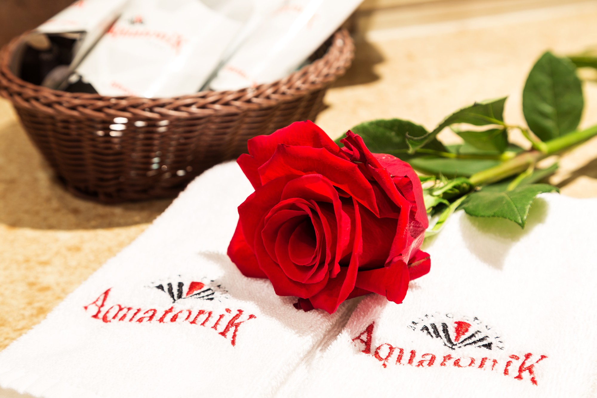 AQVATONIC BALNEO SPA - Image 4